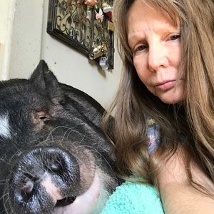 Meet your Posher, Debby